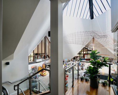 Commercial design Port Macquarie - billabong zoo - www.designingdivas.com.au . .jpg