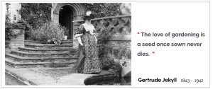 Gertrude Jekyll - gardening diva www.designingdivas.com.au